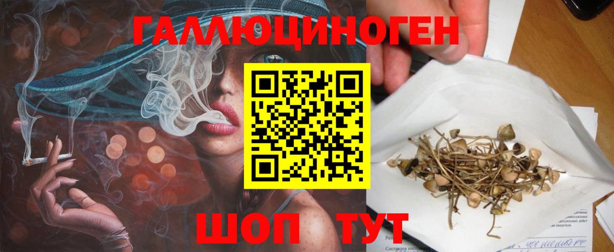 Псилоцибиновые грибы мицелий Железноводск